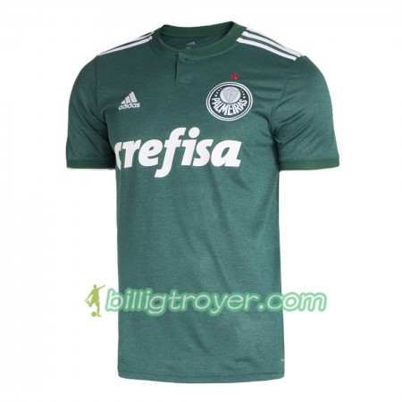 Billige Fotballdrakter Palmeiras 2018/19 Hjemmedraktsett Kortermet